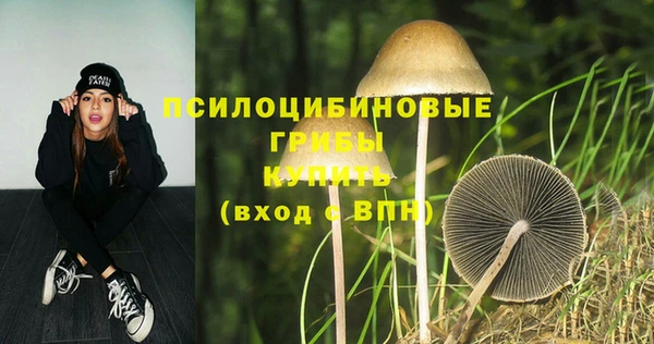 jwh Алзамай