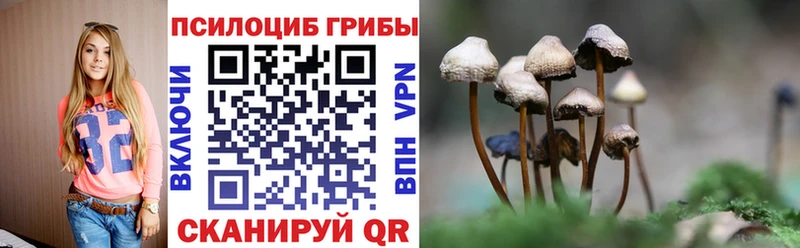 Псилоцибиновые грибы Psilocybine cubensis  OMG вход  Кириллов 
